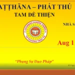 Patthana 132