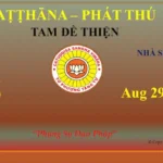 Patthana 136