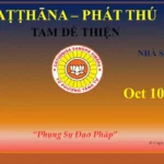Patthana 141
